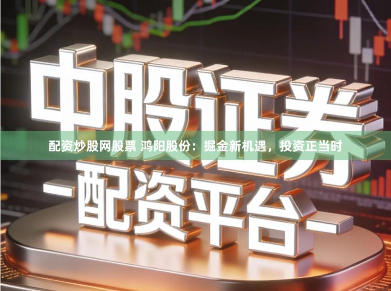 配资炒股网股票 鸿阳股份：掘金新机遇，投资正当时