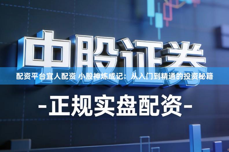 配资平台宜人配资 小股神炼成记：从入门到精通的投资秘籍