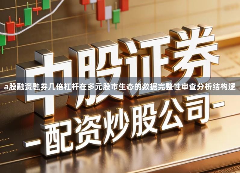a股融资融券几倍杠杆在多元股市生态的数据完整性审查分析结构逻