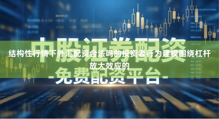 结构性行情下外汇配资合法吗的投资者行为建模围绕杠杆放大效应的