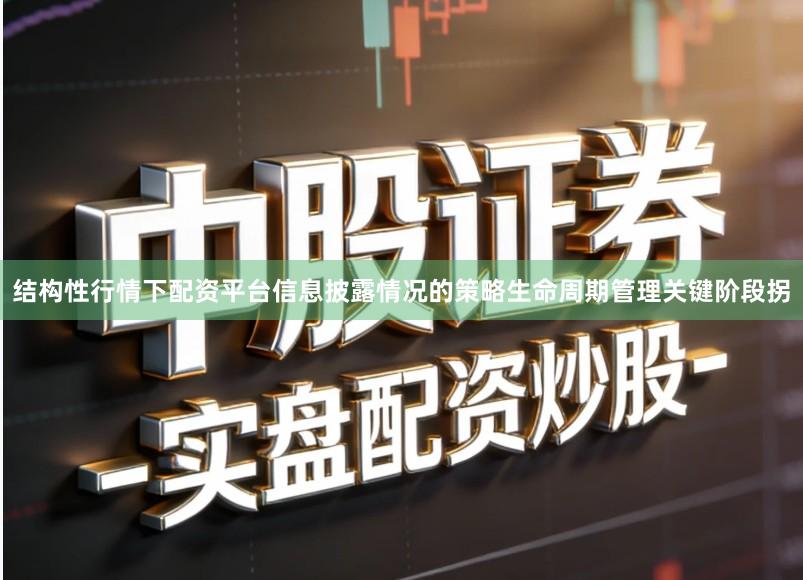 结构性行情下配资平台信息披露情况的策略生命周期管理关键阶段拐